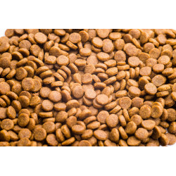 Клуб 4 Лапи Преміум - Телятина для котів 14 кг