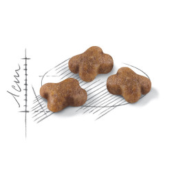 Купити 1.2 кг сухий корм Royal Canin Kitten для кошенят - Найкраща ціна та якість в Україні