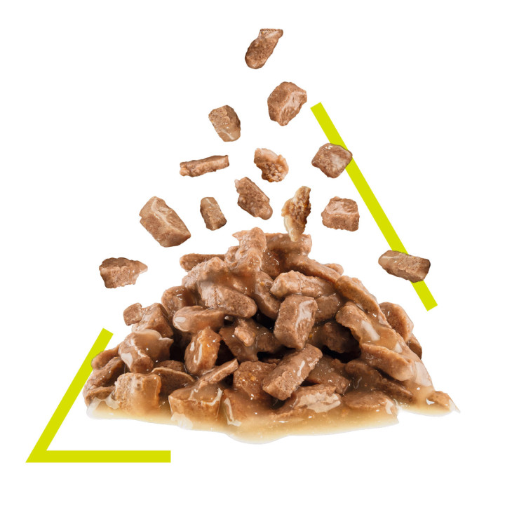 Royal Canin Sensory Smell Chunks In Gravy 0.085 кг | Вологий корм в соусі для вибагливих до запаху котів