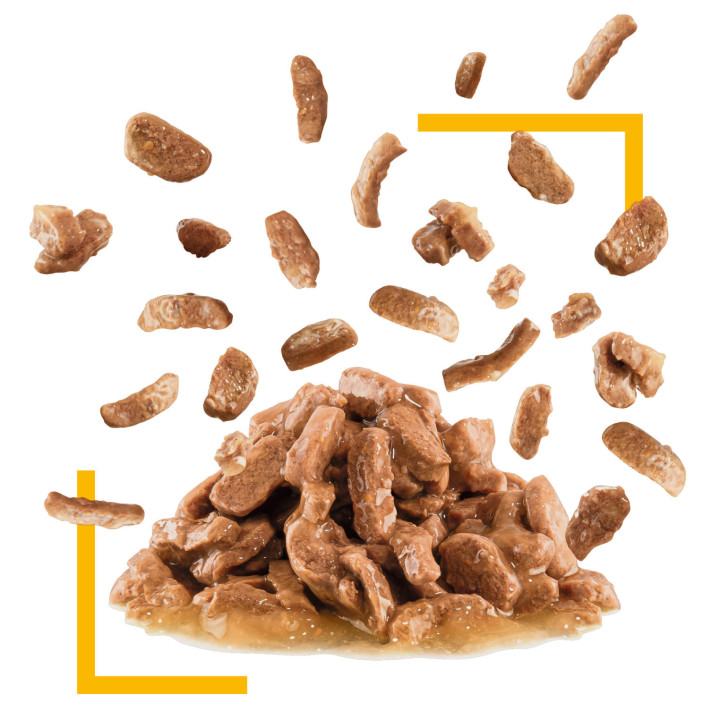 Royal Canin Sensory Taste Chunks In Gravy 0.085 кг | Вологий корм в соусі для котів вибагливих до смаку