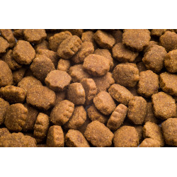 CLUB 4 PAWS Преміум Корм для собак великих порід 14 кг