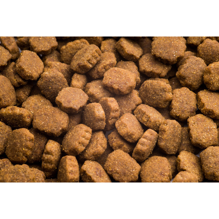 CLUB 4 PAWS Преміум Корм для собак великих порід 14 кг