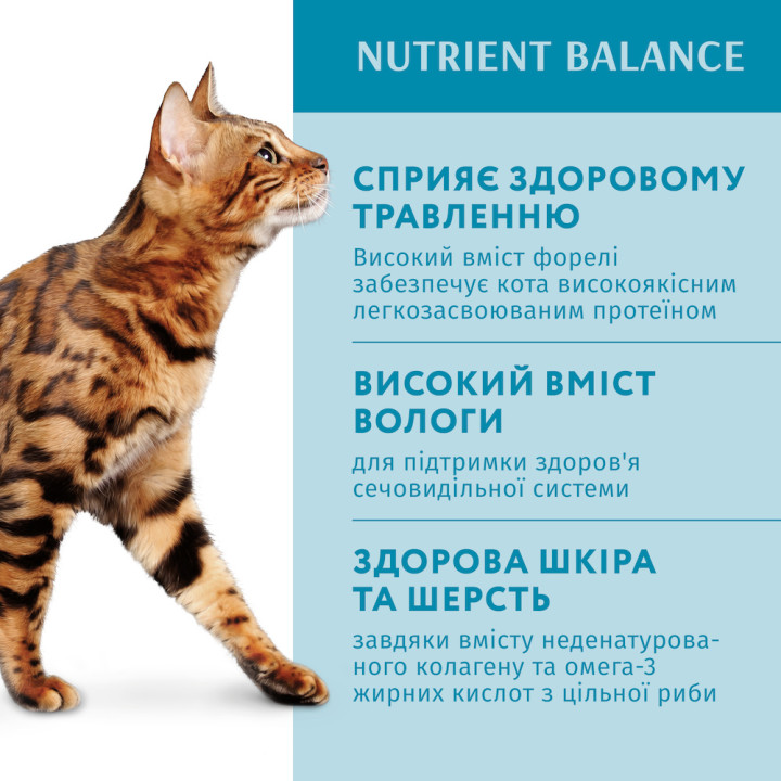 Для Дорослих Котів З Фореллю В Кремовому Соусі Super Premium 85 Г