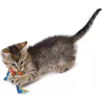 Petstages Catnip Dental Health Chew - Іграшка для зубів котів
