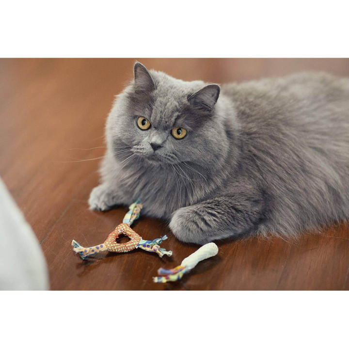 Petstages Catnip Dental Health Chew - Іграшка для зубів котів