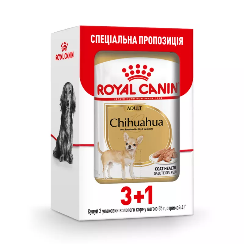 3+1 Royal Canin Chihuahua Adult 0.085 кг | Консервований корм для собак Чихуахуа