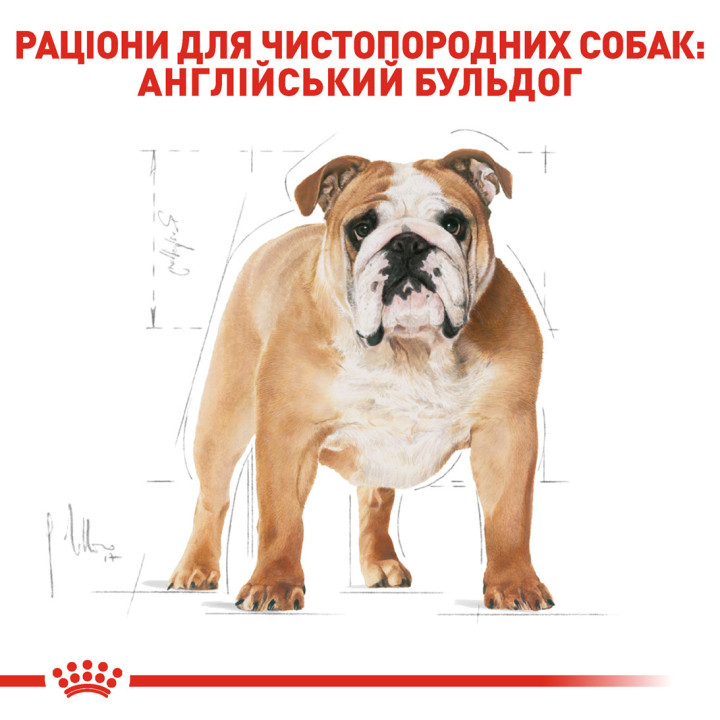 Bulldog Adult 12 кг