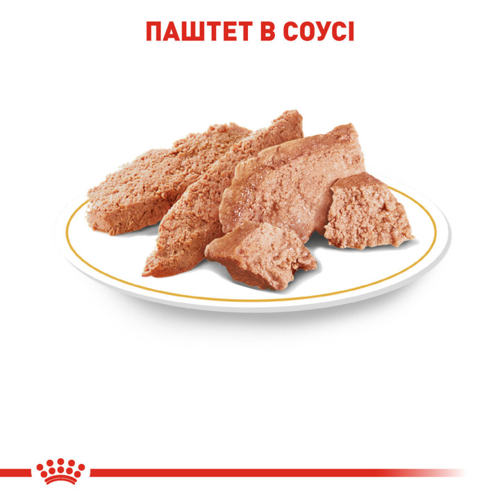 Royal Canin Chihuahua Adult 0.085 кг | Консервований корм для собак Чихуахуа