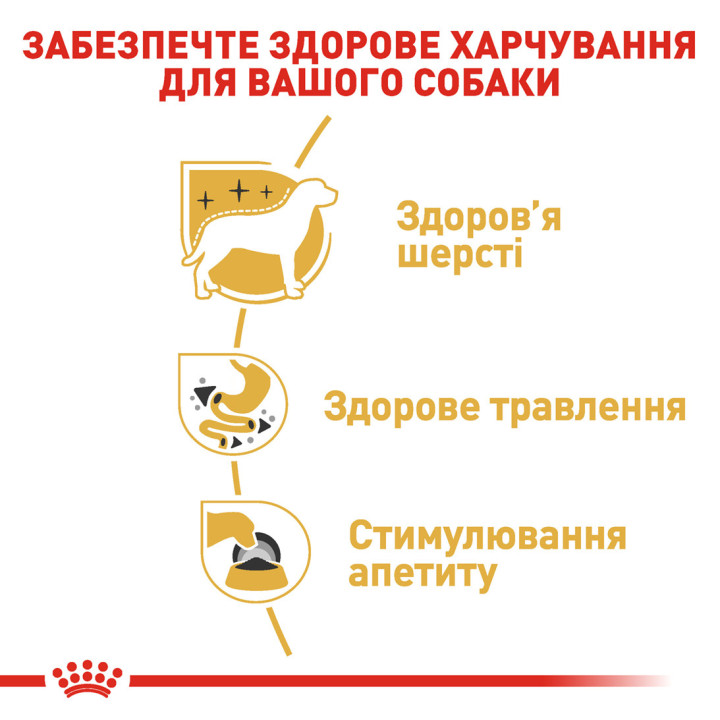 Royal Canin Chihuahua Adult 0.085 кг | Консервований корм для собак Чихуахуа