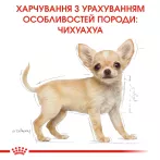 Chihuahua Puppy Сухий Корм Для Цуценят Породи Чихуахуа 0.5 кг