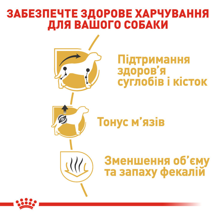 Dachshund Adult Сухий Корм Для Собак Такса 1,5 кг