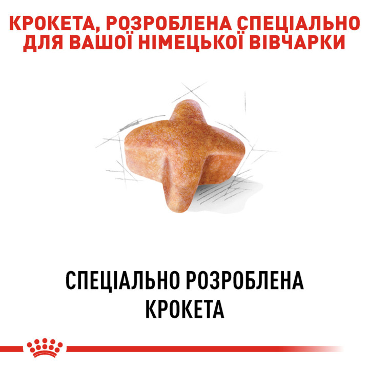 German Shepherd Adult 11 кг