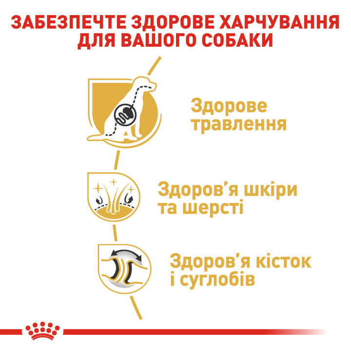 German Shepherd Adult 11 кг