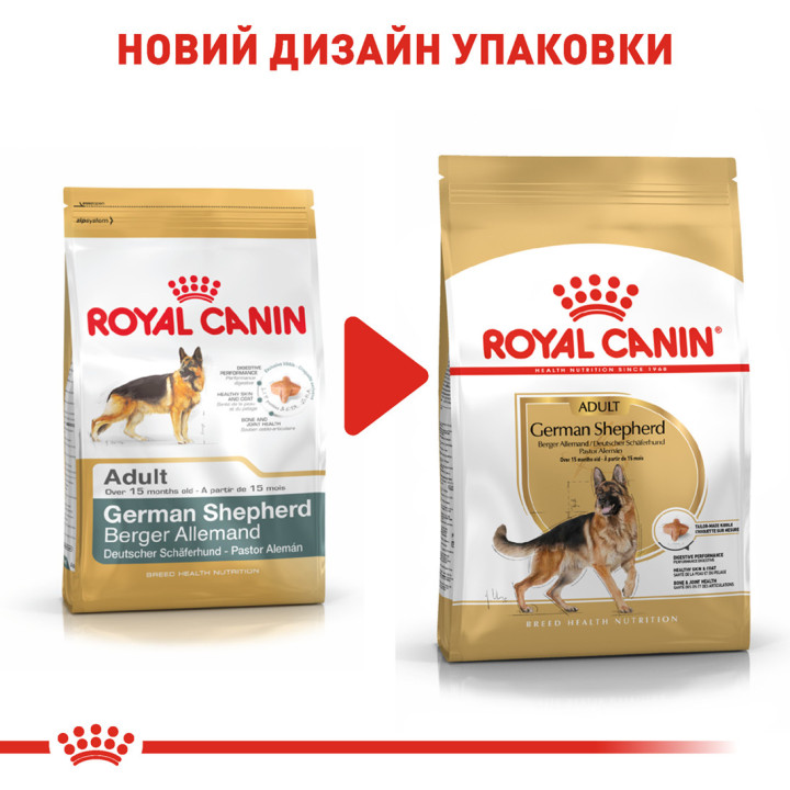 German Shepherd Adult 11 кг