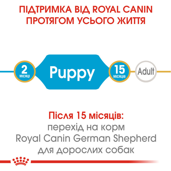 German Shepherd Puppy 3 кг