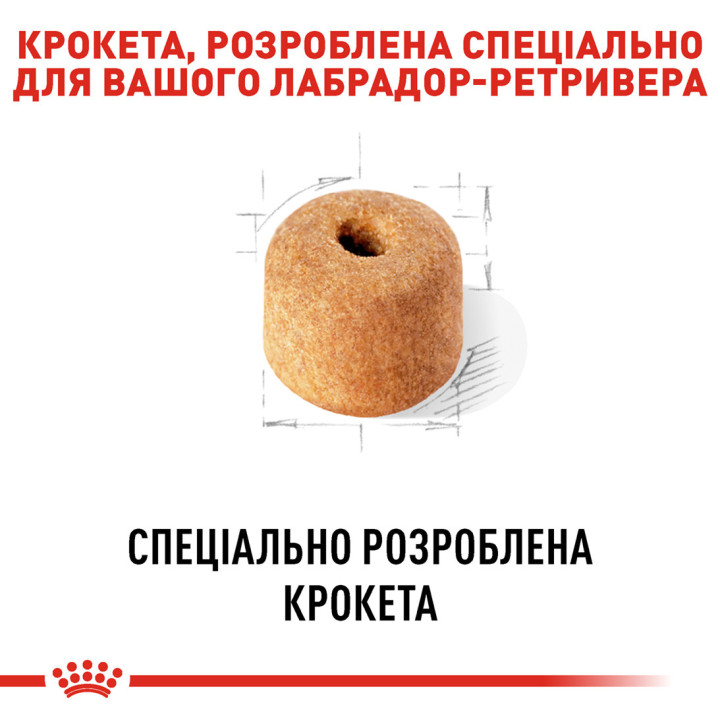 Labrador Adult Сухий Корм Для Дорослих Собак Породи Лабрадор-Ретривер 12 кг