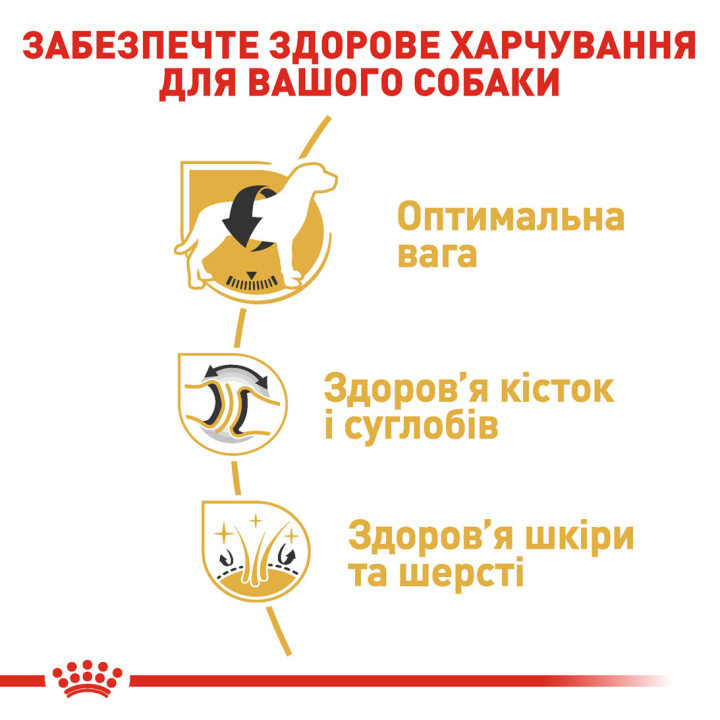 Labrador Adult Сухий Корм Для Дорослих Собак Породи Лабрадор-Ретривер 12 кг
