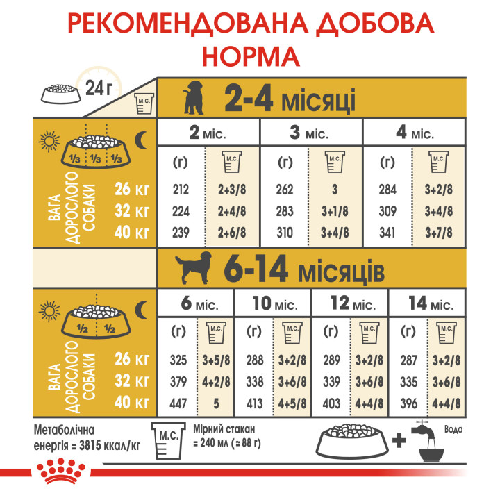 Labrador Puppy 12 кг