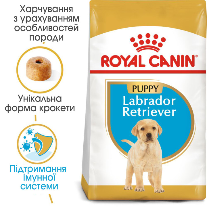Labrador Puppy 12 кг