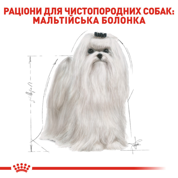 Maltese Adult Сухий Корм Для Собак Породи Мальтійська Болонка 0,5 кг