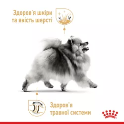Royal Canin Pomeranian Adult: Ваш Вибір №1 для Здоров'я Померанського Шпіца