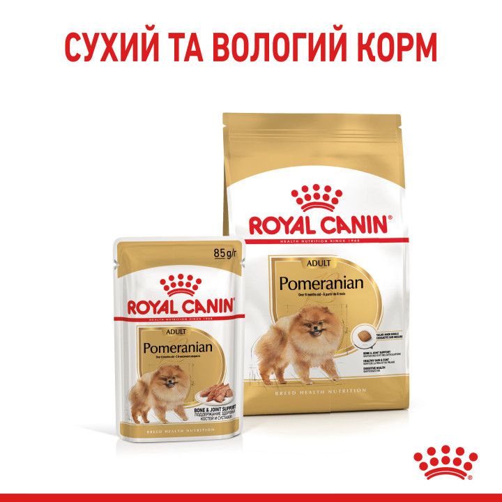 Royal Canin Pomeranian Adult: Ваш Вибір №1 для Здоров'я Померанського Шпіца