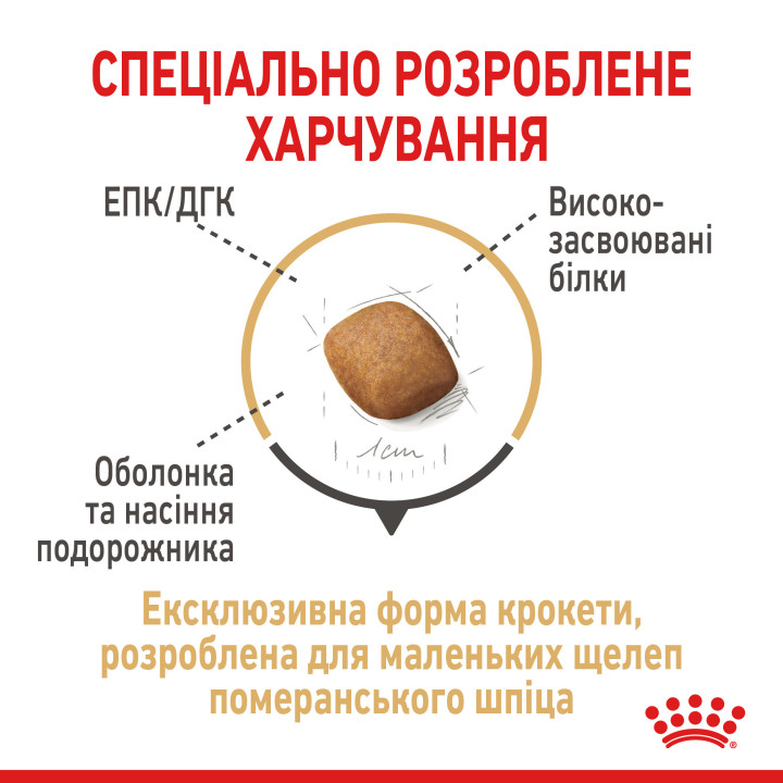 Royal Canin Pomeranian Adult: Ваш Вибір №1 для Здоров'я Померанського Шпіца