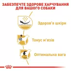 Royal Canin сухий корм для дорослих мопсів від 10 міс 3 кг