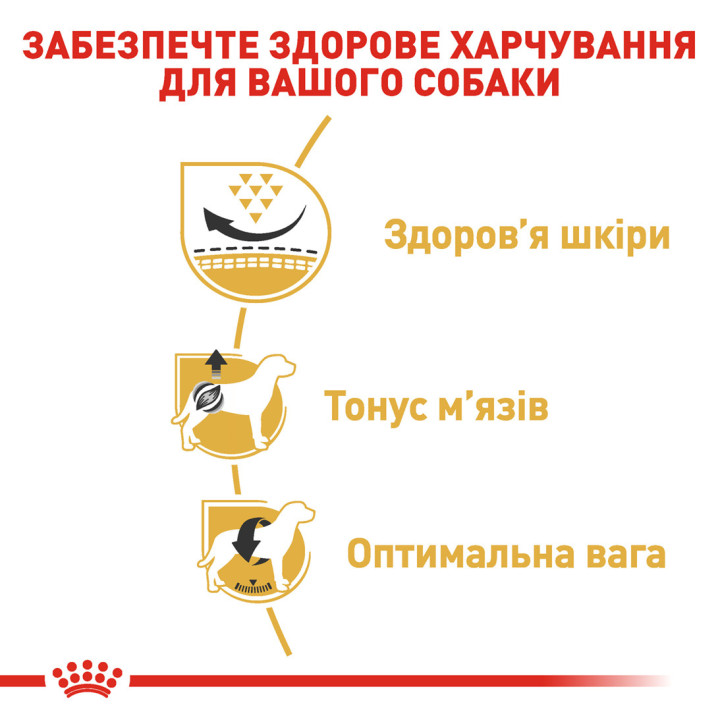 Royal Canin сухий корм для дорослих мопсів від 10 міс 1,5 кг