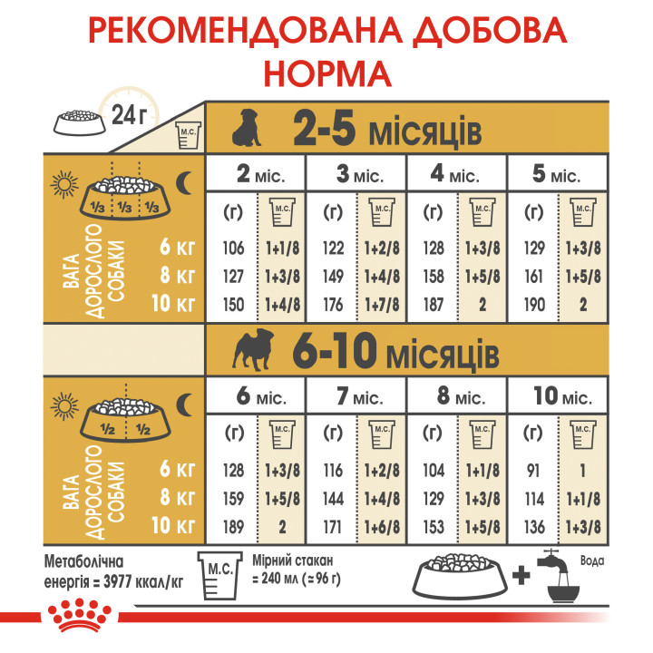 Royal Canin Pug Puppy 1.5 кг - Оптимальний Сухий Корм для Цуценят Мопса