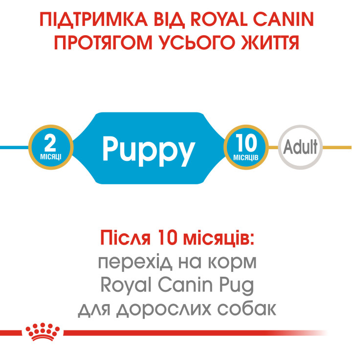 Royal Canin Pug Puppy 1.5 кг - Оптимальний Сухий Корм для Цуценят Мопса