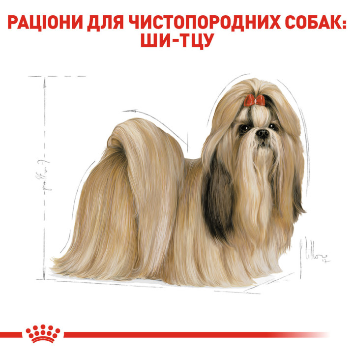 Shih Tzu Adult 1,5 кг