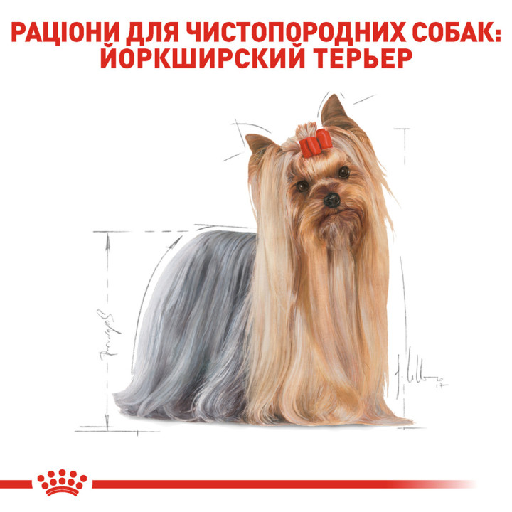 Yorkshire Adult Сухий Корм Для Дорослих Собак Йоркширський Тер’Єр 1,5 кг