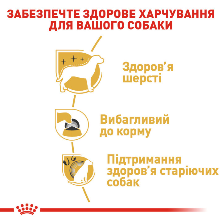 Yorkshire Adult Сухий Корм Для Дорослих Собак Йоркширський Тер’Єр 0,5 кг