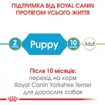 1.2+0.3 кг - Yorkshire Puppy Сухий Корм Для Цуценят Йоркширський Тер'єр 1,5 кг