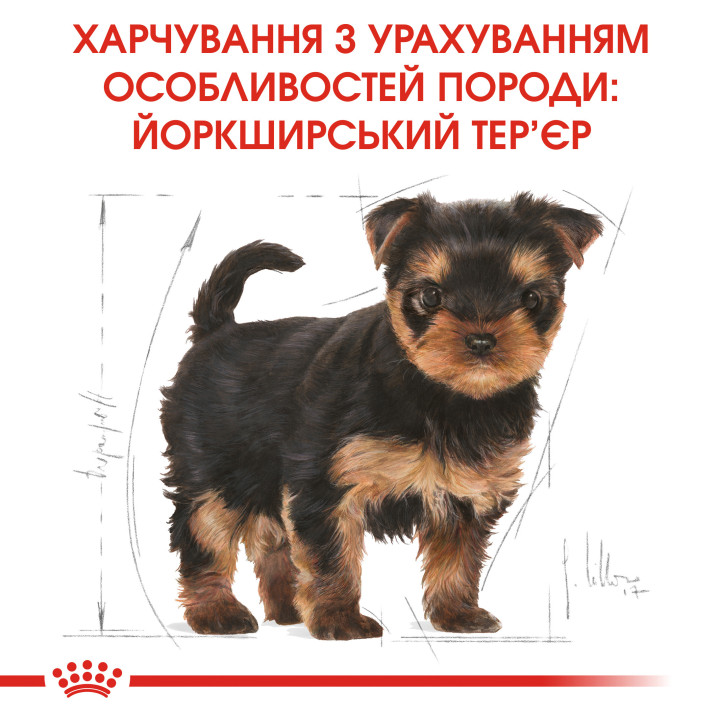 Yorkshire Puppy Сухий Корм Для Цуценят Йоркширський Тер'єр 7,5 кг