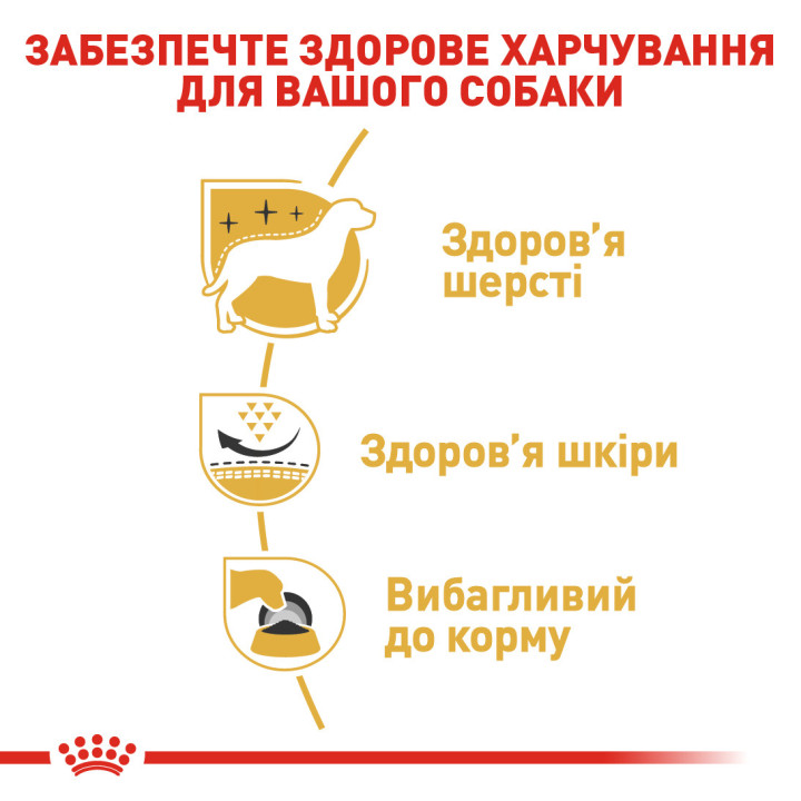Westie Adult 3 кг