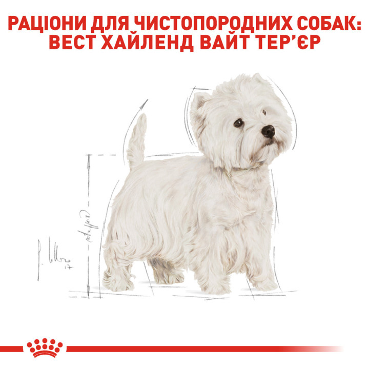 Westie Adult 3 кг
