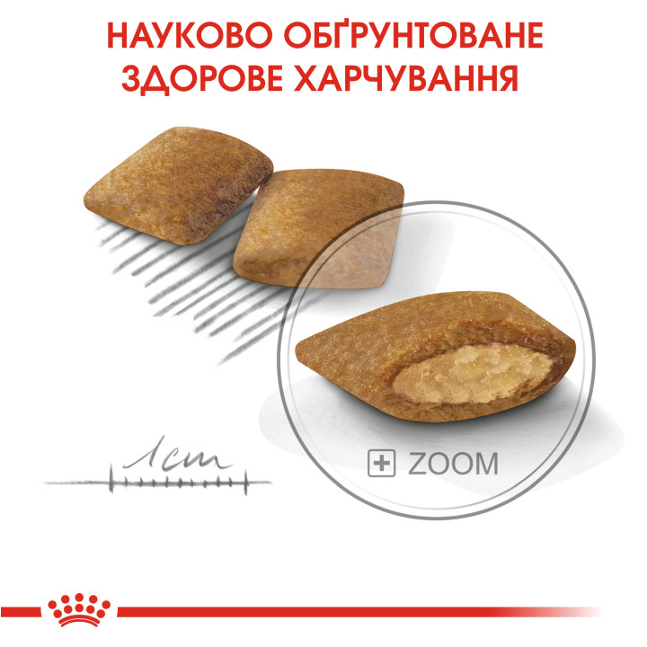 Купити Royal Canin Mini Exigent - Повнораціонний Сухий Корм для Вибагливих Собак до 10 кг