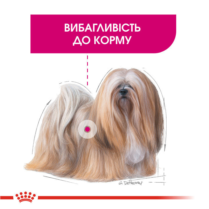 Купити Royal Canin Mini Exigent - Повнораціонний Сухий Корм для Вибагливих Собак до 10 кг