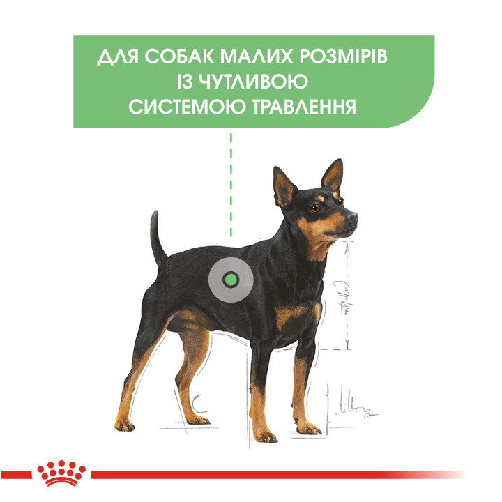 Mini Digestive Care 3 кг