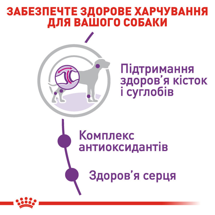 Royal Canin GIANT ADULT: Повнораціонний Корм для Собак Великих Порід