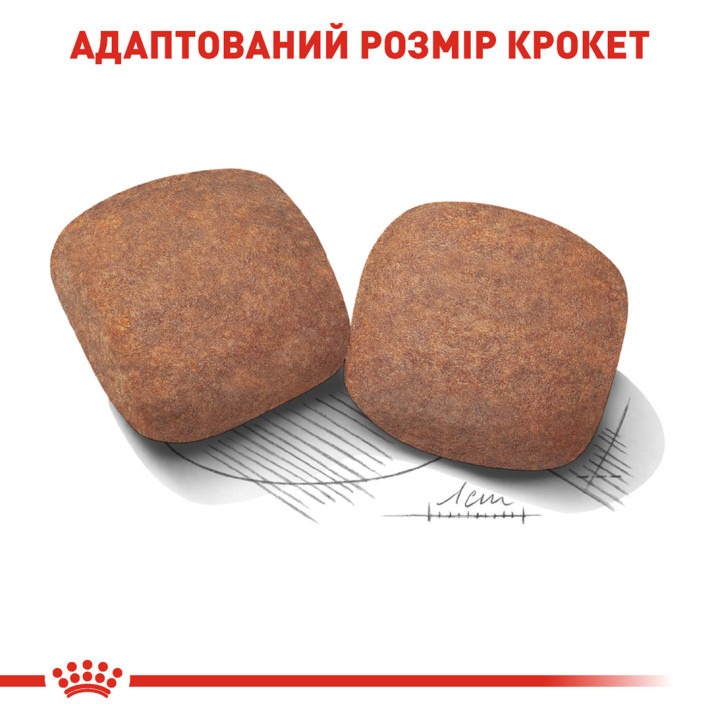 Royal Canin GIANT ADULT: Повнораціонний Корм для Собак Великих Порід