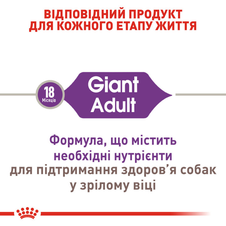 Royal Canin GIANT ADULT: Повнораціонний Корм для Собак Великих Порід