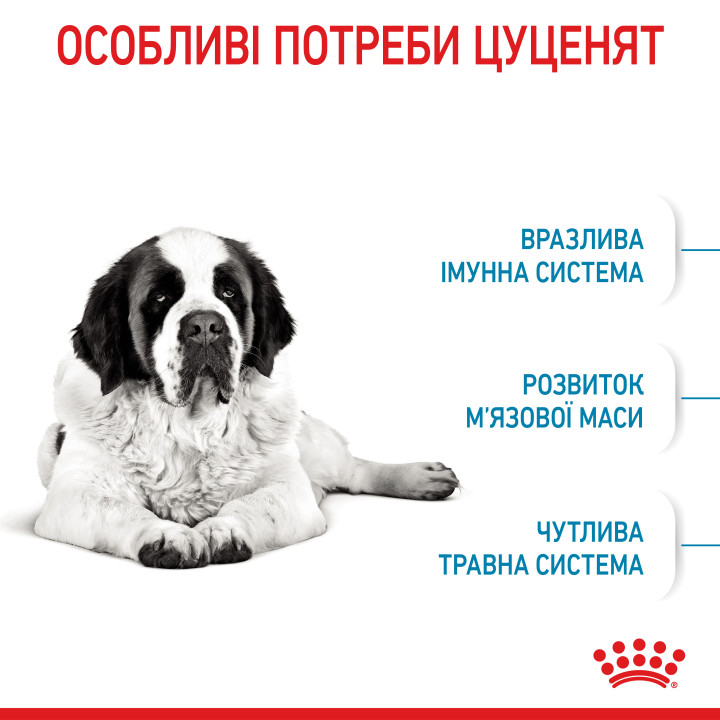 Royal Canin Giant Junior: захист і розвиток для цуценят великих порід