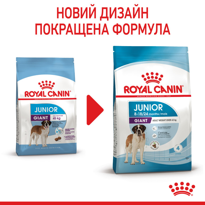 Royal Canin Giant Junior: захист і розвиток для цуценят великих порід