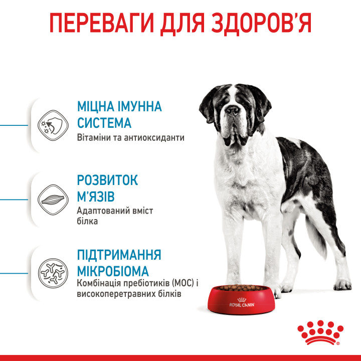 Royal Canin Giant Junior: захист і розвиток для цуценят великих порід