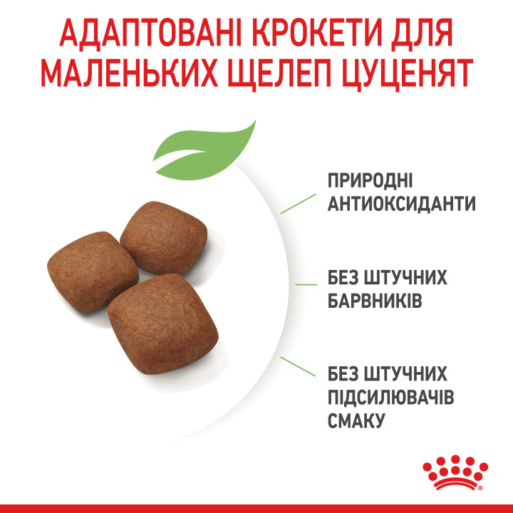 Royal Canin Giant Junior: захист і розвиток для цуценят великих порід