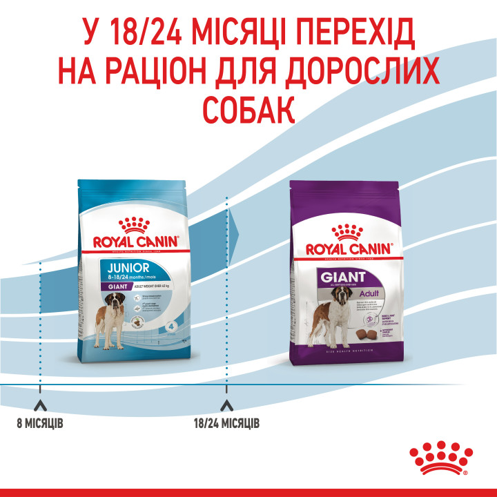 Royal Canin Giant Junior: захист і розвиток для цуценят великих порід