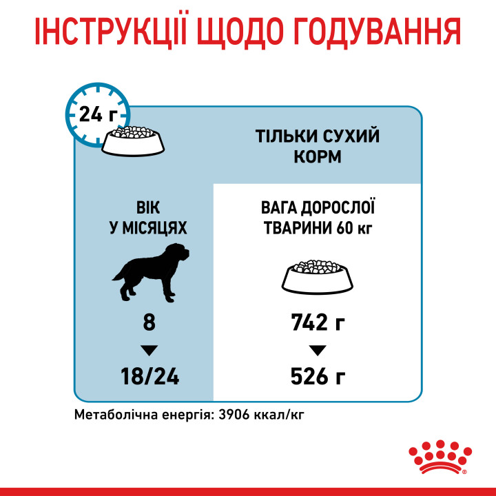 Royal Canin Giant Junior: захист і розвиток для цуценят великих порід